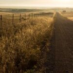 3D开奖605号码前后关联与历史规律深度解析 0ek8w7mjt