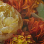 19142期体彩开奖结果公布:最新中奖号码全面揭晓 mizoi