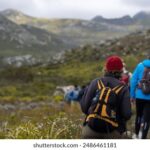 19282期开奖结果揭晓:幸运号码震撼出炉 q1qbkxg6