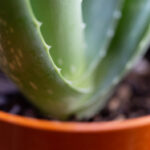 19883期开奖记录完整版最新数据查询 q7hj03