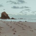 3d开奖557前后关系深度解析与走势预测 xno7sz